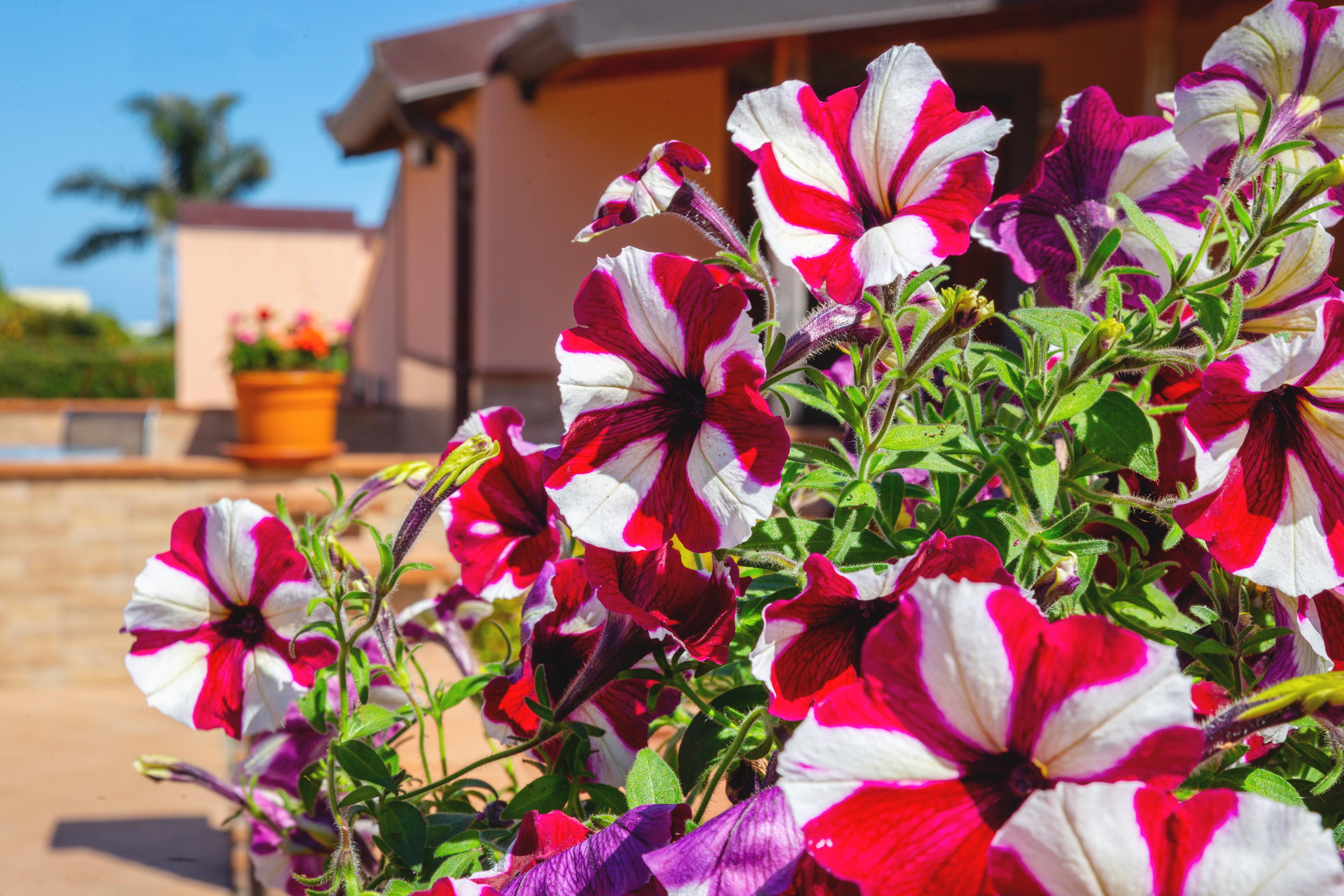 La Terra Dei Sogni Country Hotel Fiumefreddo di Sicilia Bagian luar foto