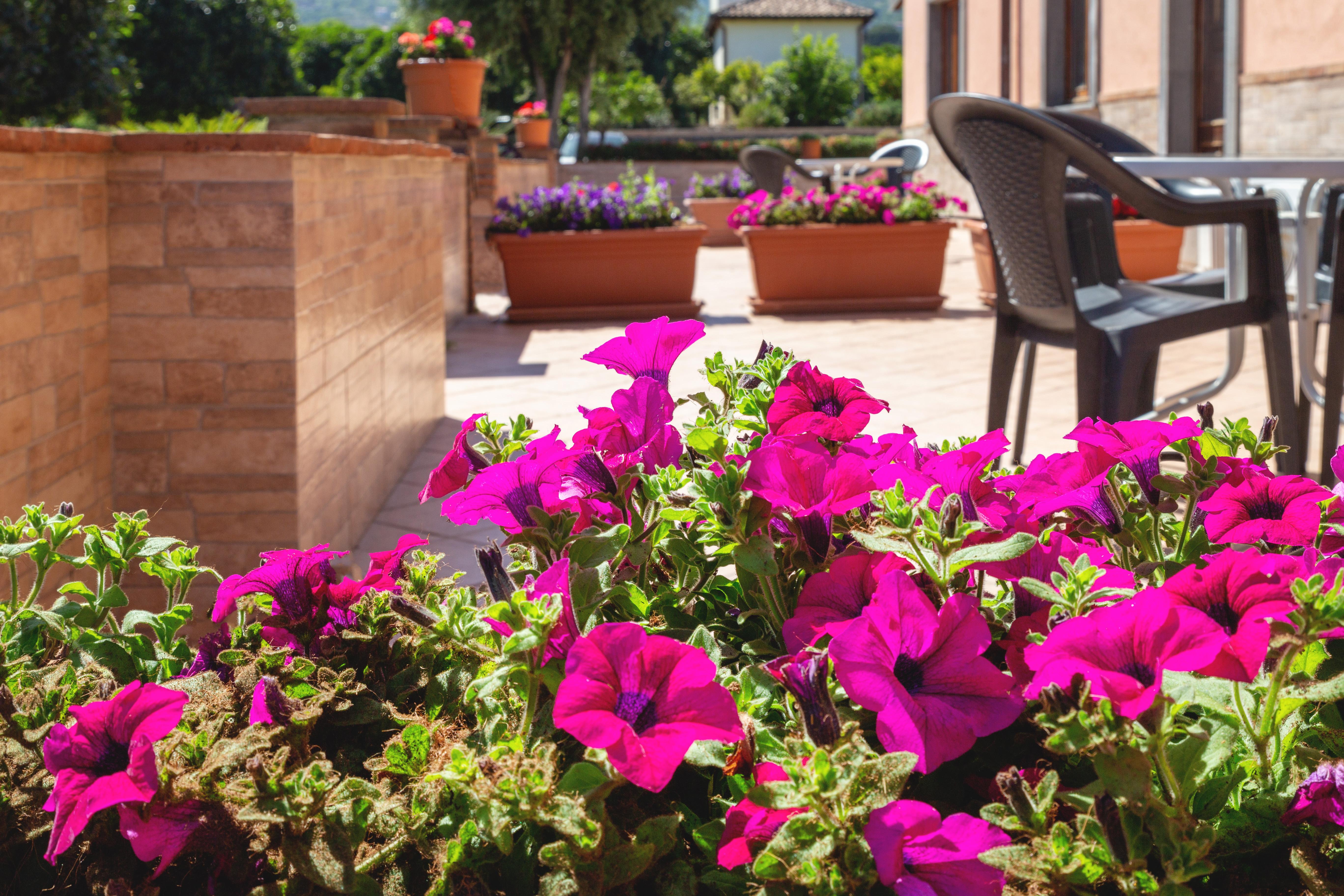 La Terra Dei Sogni Country Hotel Fiumefreddo di Sicilia Bagian luar foto